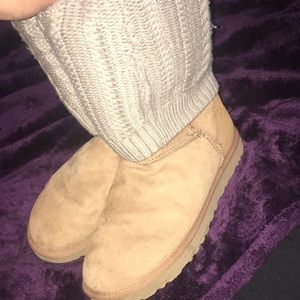 Tan Medium Height Ugg’s with Sweater Liner 8